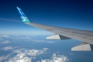 Air Travel with Pets in Australia