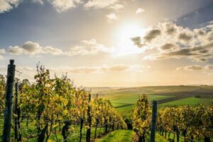 Hunter Valley