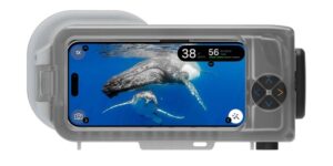 Capture Stunning Underwater Photos